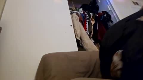 sweetp3ach29 online show from 12/16/24, 06:53