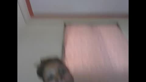 ESTHER online show from 04/11/26, 07:45