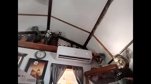 sweetsugar64 online show from 02/03/26, 04:23