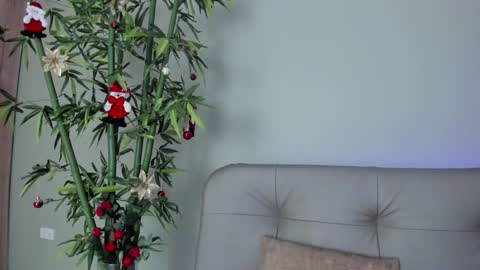 Snapshot of sweett_petite chatting on 12/29/24, 10:36 online show from 12/29/24, 10:36