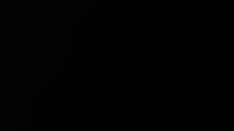 Sweety online show from 07/25/26, 01:04