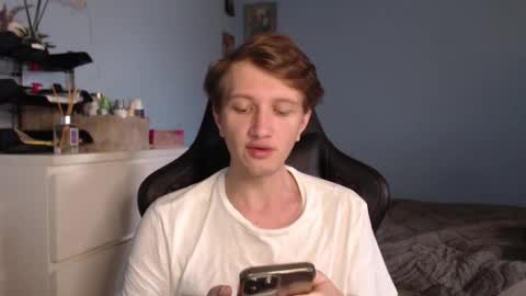 Cat online show from 02/08/26, 08:51