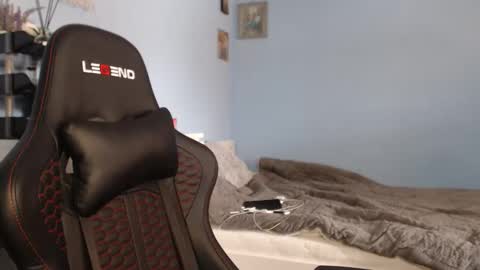 Cat online show from 02/09/26, 10:08