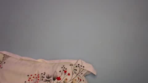 Cat online show from 02/20/26, 05:24