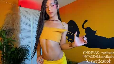 swettcabol online show from 04/16/26, 07:36