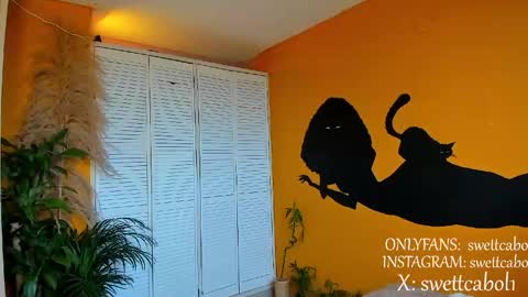 swettcabol online show from 04/21/26, 07:06