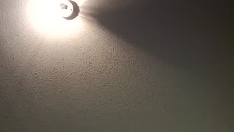 swirlcple69 online show from 03/01/26, 07:32