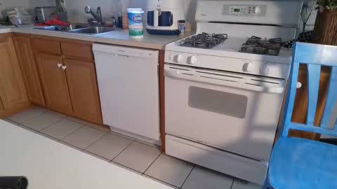 Snapshot of switchykitty chatting on 12/08/24, 07:11 ashley blayde online show from 12/08/24, 07:11