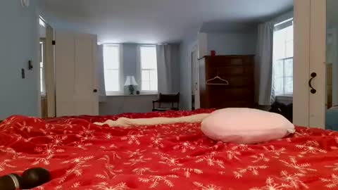 Snapshot of switchykitty chatting on 02/06/25, 08:45 ashley blayde online show from 02/06/25, 08:45