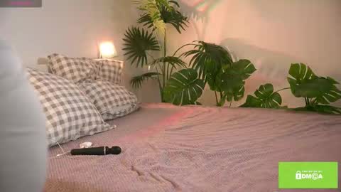 MEI online show from 09/27/25, 06:51