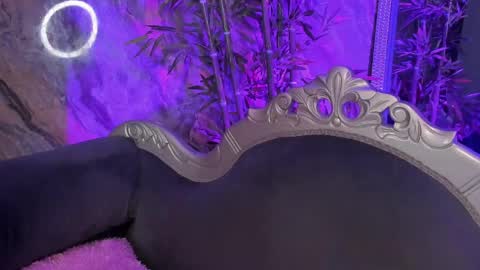 Sydney online show from 04/01/26, 11:24