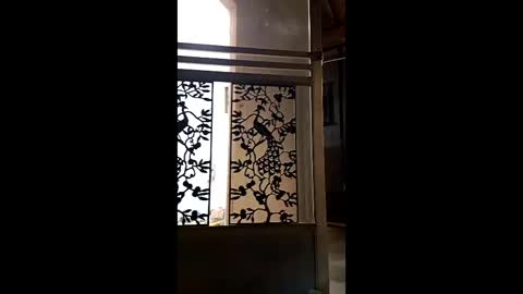 syevecrl online show from 02/09/26, 02:04