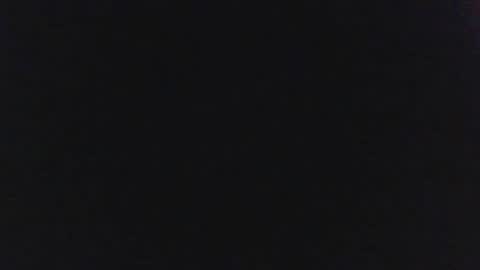 sylvertaurus1 online show from 10/31/25, 11:55