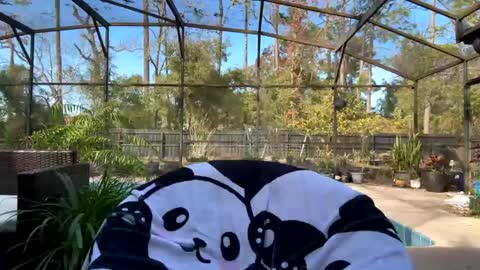 Jennah online show from 02/01/25, 08:05