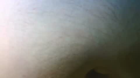 syrius57920 online show from 11/07/25, 05:13