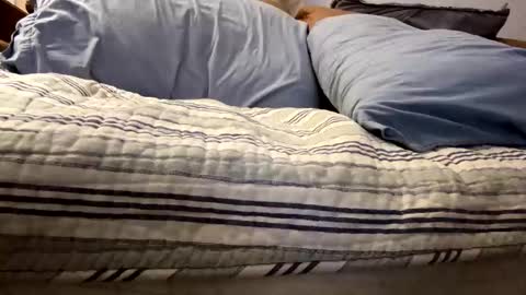 tRex online show from 11/05/25, 12:43