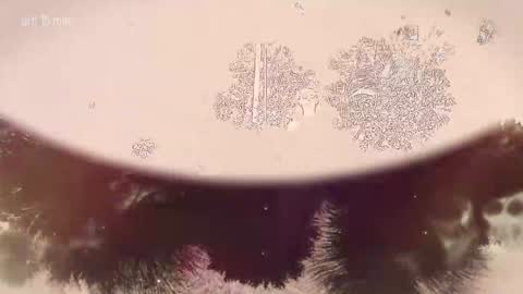 TAANNI online show from 02/22/26, 10:08