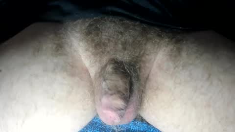 Snapshot of tacosize chatting on 02/13/25, 03:35 mr taco online show from 02/13/25, 03:35