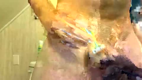 Snapshot of tailblazzer chatting on 10/14/25, 10:49 tailblazzer online show from 10/14/25, 10:49