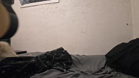 Talen James online show from 04/18/26, 09:48