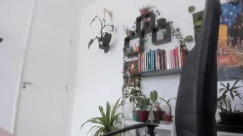 Tali Majid online show from 11/26/25, 11:44