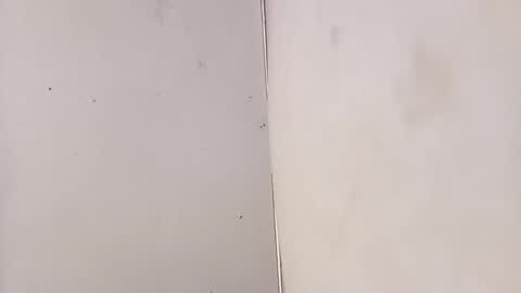 Snapshot of tall6feet7inch chatting on 02/03/26, 07:13 tall6feet7inch online show from 02/03/26, 07:13