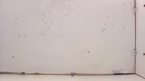 Snapshot of tall6feet7inch chatting on 02/27/26, 05:24 tall6feet7inch online show from 02/27/26, 05:24