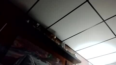 The Man of Steel online show from 10/27/25, 02:48