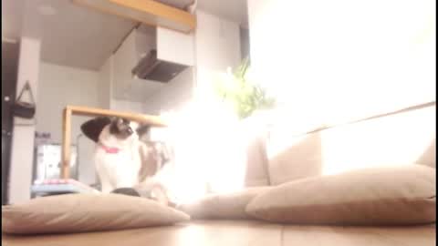 Tamara online show from 09/14/25, 09:58