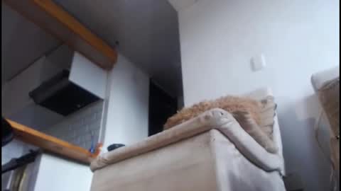 Tamara online show from 02/08/26, 09:07