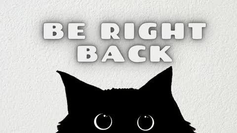 Rousaly online show from 04/15/26, 11:06