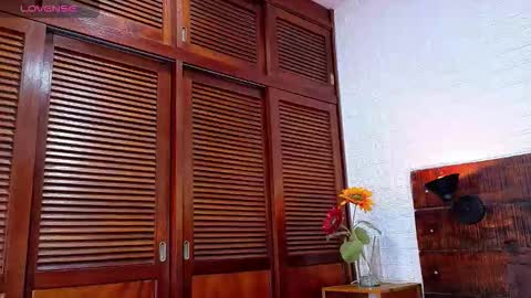    online show from 11/24/25, 12:43