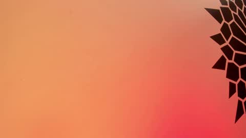 Snapshot of tamarathompsonn chatting on 02/25/25, 03:49 Tamara. online show from 02/25/25, 03:49