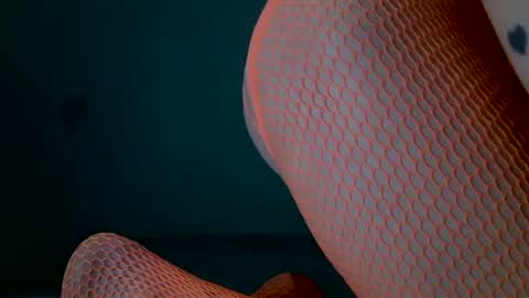 tamesbury online show from 03/08/26, 02:04