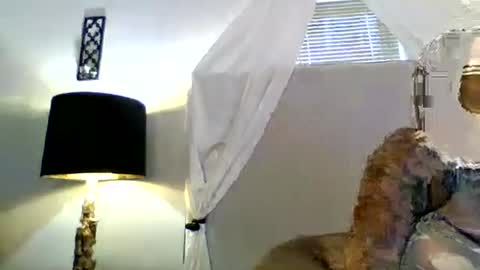 Snapshot of tammygold chatting on 06/23/26, 07:23 Tammygold online show from 06/23/26, 07:23