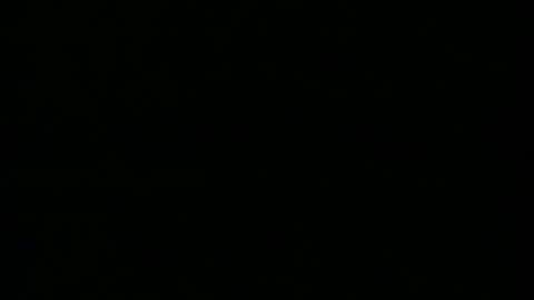 taneyone online show from 12/05/24, 06:44