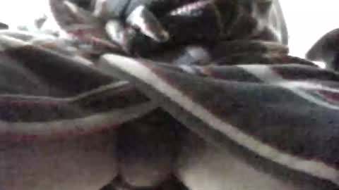 Snapshot of tap_b chatting on 02/16/25, 07:48 Patrick online show from 02/16/25, 07:48