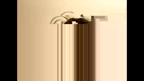 tastytexas24 online show from 02/09/26, 12:47