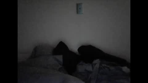 tattedpanther online show from 12/03/24, 04:39