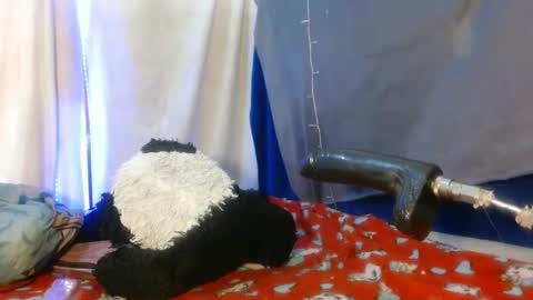 Katty badbitch online show from 03/28/26, 09:03