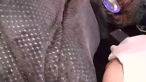 Jean pool online show from 12/17/25, 03:45