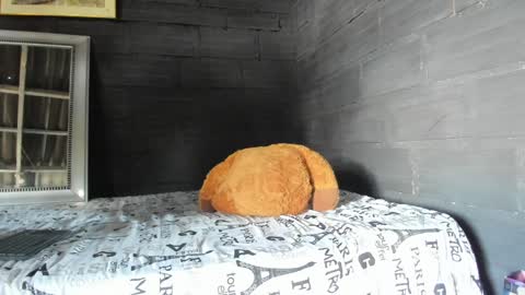 Snapshot of taurus_boy1 chatting on 01/17/25, 06:02 T A U R U S online show from 01/17/25, 06:02