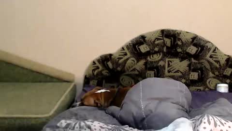 Taya online show from 02/04/25, 11:27