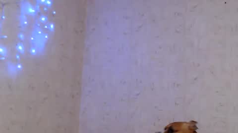 Taya online show from 01/09/26, 09:05