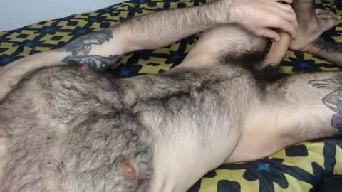 Taylor online show from 01/15/26, 04:17