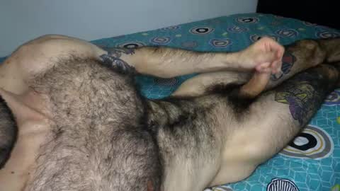 Taylor online show from 02/03/26, 06:40