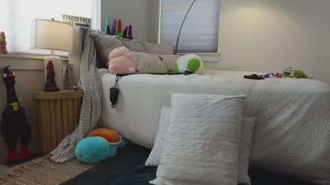 Taylor --  online show from 01/24/25, 09:15