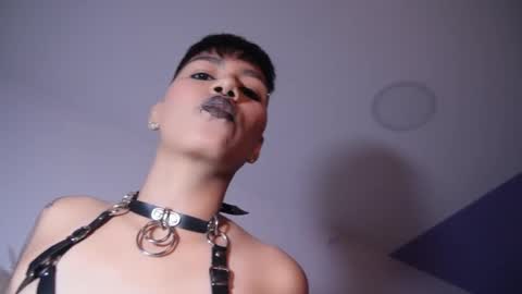 Taylor online show from 11/05/25, 08:09