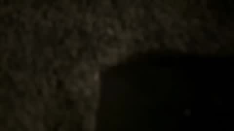 Snapshot of tdnaw chatting on 01/12/25, 04:31 td 78 online show from 01/12/25, 04:31