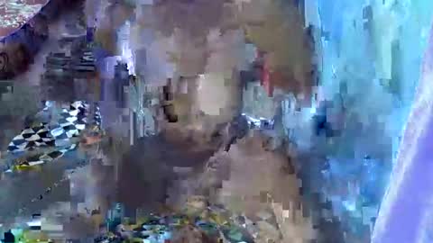 teabody1 online show from 03/23/26, 06:45